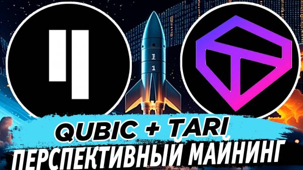 Майнинг Tari + Qubic. Перспективный майнинг на HiveOS