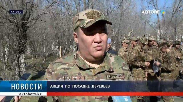 Акция  по  посадке  деревьев