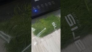 вакууматор Polaris PVS 1310