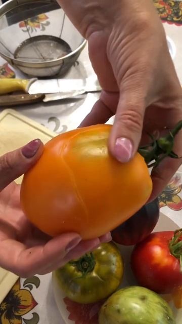 Часть 1. Делаю свои семена помидоров. Какие следует бра