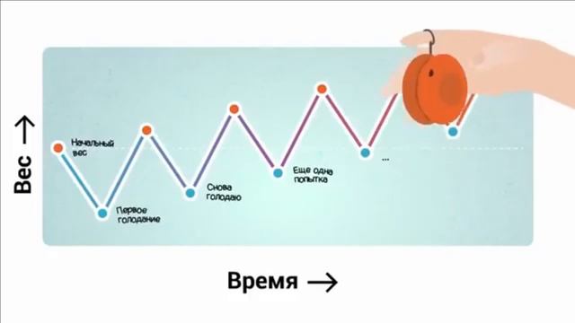Доходчиво о правильном питании для сжигания жира и на? смотреть онлайн