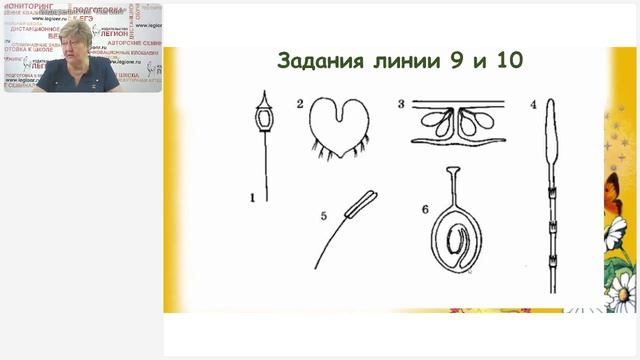 ЕГЭ по биологии 2025 года: на что обратить внимание выпускников, чтобы не потерять баллы смотреть онлайн