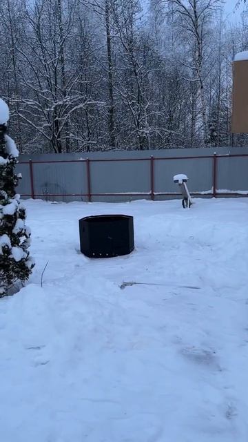 Уличный чан своими руками установили и подключили. #св смотреть онлайн