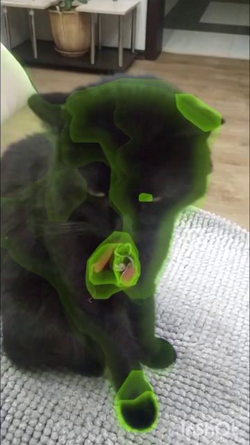 Кот Макс укротитель робота-пылесоса #cat #отдых #funny #sorts смотреть онлайн