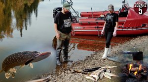 Уехали с женой жить в тайгу Приполярного Урала. Рыбалка на щуку. Юкола и котлеты. Гости. 5с