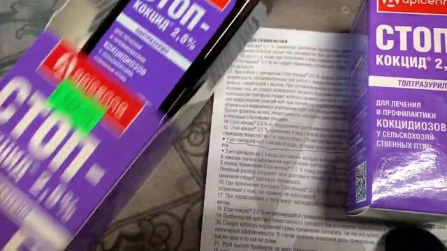 НАЧИНАЮ ПРОПОЙКУ ОТ КОКЦИДИОЗА-СРЕДНИМ ЦЫПЛЯТАМ 🐥🐥🐥 ЦЫПЛЯТАМ 28 ДЕНЬ_ 25 апреля 2025 года смотреть онлайн
