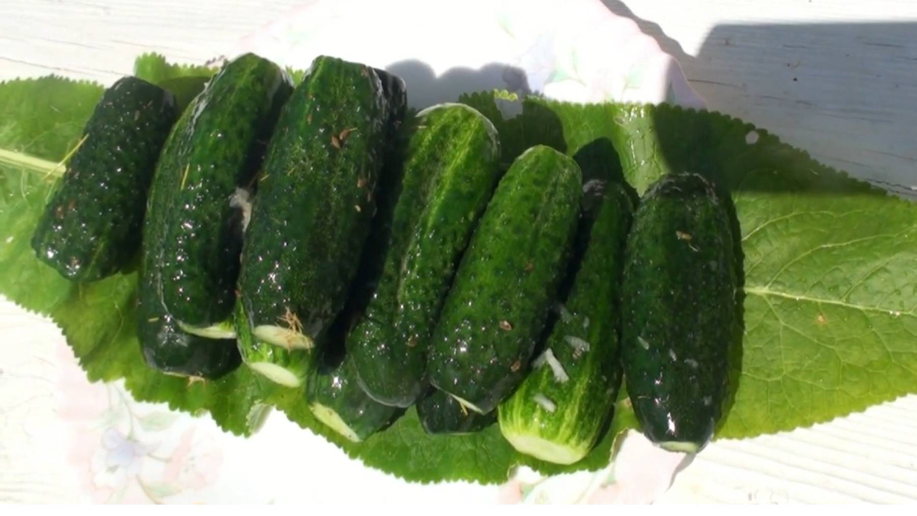 ХРУСТЯЩИЕ МАЛОСОЛЬНЫЕ ОГУРЦЫ – самый простой рецепт. Малосольные огурцы в пакете смотреть онлайн