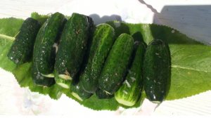 ХРУСТЯЩИЕ МАЛОСОЛЬНЫЕ ОГУРЦЫ – самый простой рецепт. Малосольные огурцы в пакете