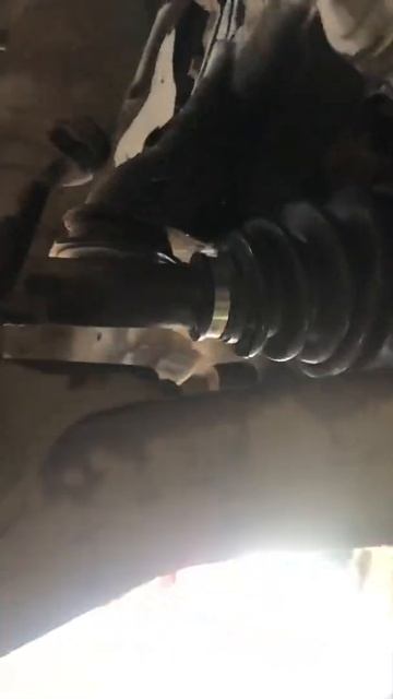 Симптомы порванного пыльника прадо