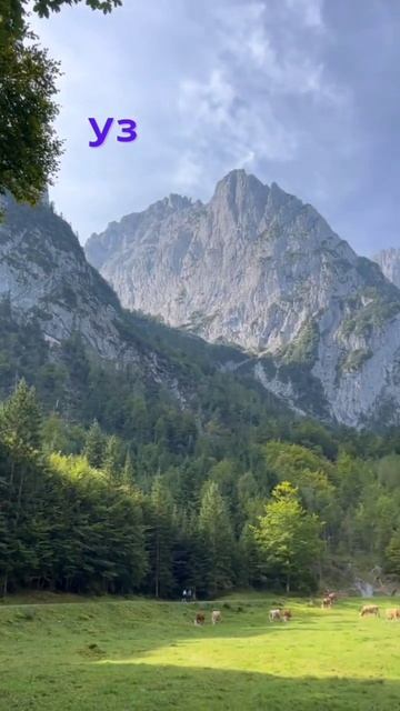 01.07.24: Фен Шуй прогноз для Вашего года рождения #гороск? смотреть онлайн