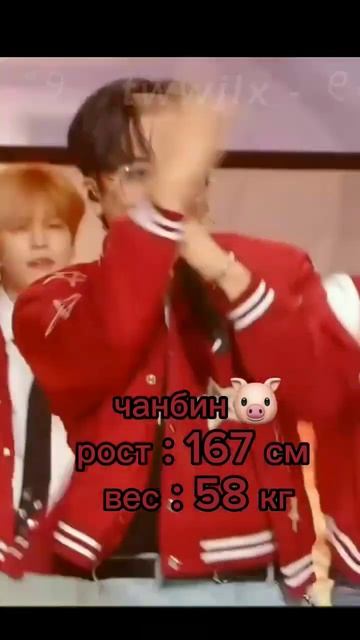 ˚୨ - рост и вес участников stray kids !! - ୧⋆ #kpop #straykids #fypシ #fy смотреть онлайн