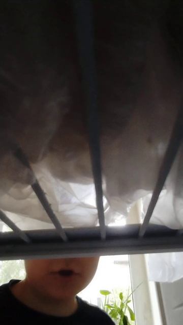 что вы забыли в моём холодильнике?! ... смотреть онлайн