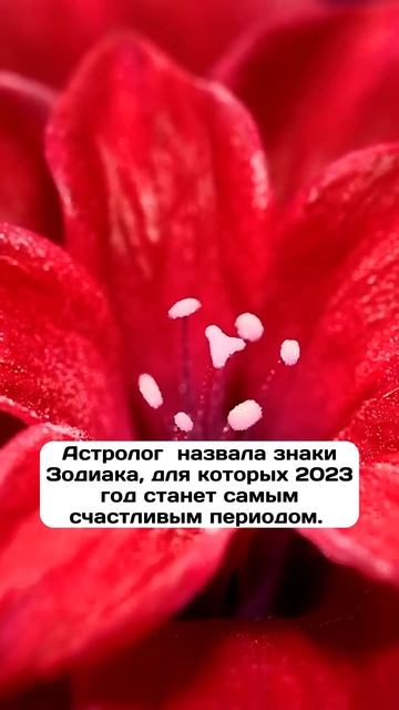 Тамара Глоба предсказала БЕШЕНЫЙ УСПЕХ в 2023 году этим смотреть онлайн