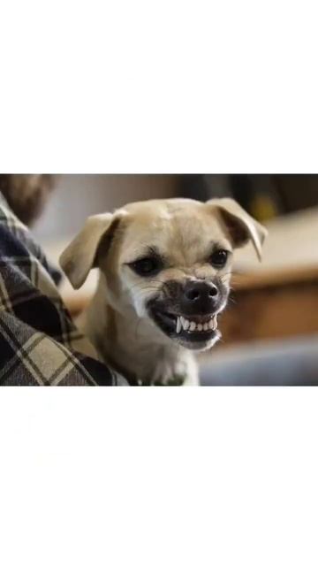 топ 3 массажёра для рук смотреть онлайн