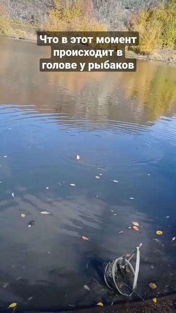 ответ на частый вопрос🤣#приколы #юмор #рыбалка #shorts #fishing смотреть онлайн