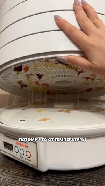 Сушим мармелад в дегидраторе #опыт #семейныйканал #суш смотреть онлайн