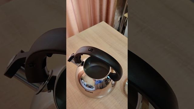 Чайник для плиты Tefal Duetto+