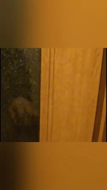 Как гудят подшипники на стиральной машине. смотреть онлайн