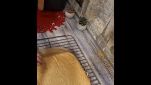 Меренговый рулет в аэрогриле...это просто ☺️