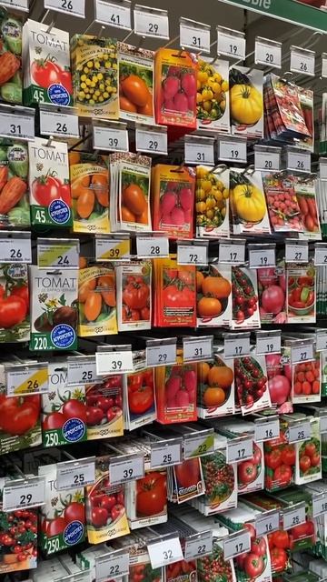 Цены на семена помидор в Бау-центре #новороссийск #ана? смотреть онлайн