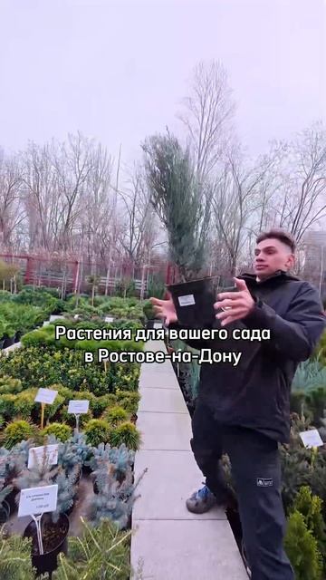 Ростов-на-Дону, ул. Левобережная, 19 «Зелёный берег» 🕒 ? смотреть онлайн