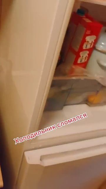 Сломанный холодильник Лимита #приколы #шутка #животны?