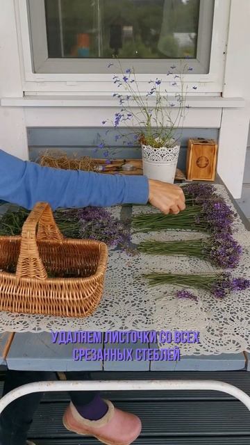 Зеленые уголки и уют