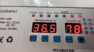 5,6,7 мая 2025г.Учим всех цыплят выходить на прогулку.Новая квочка😊 20,21 день инкубации в РЯБА 36