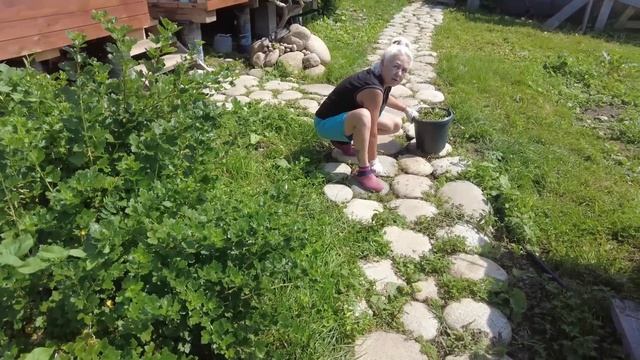 Загородь и другие дела. Жизнь в деревне после переезда. смотреть онлайн