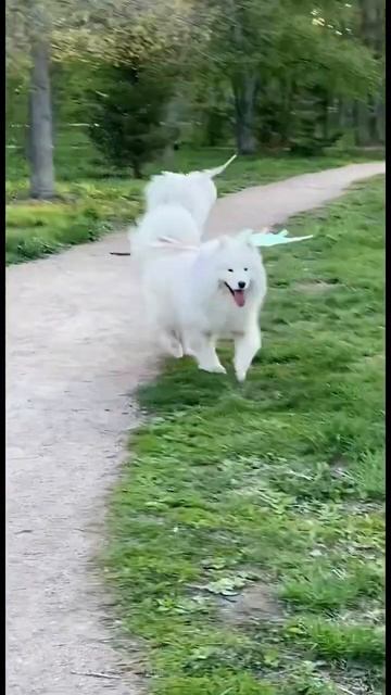 Финансовая грамотность обходила их стороной😂 Купить смотреть онлайн