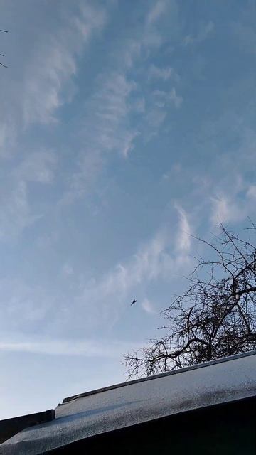 ТАКЛА БЕЛАРУСЬ, Подъем, подход и посадка. смотреть онлайн