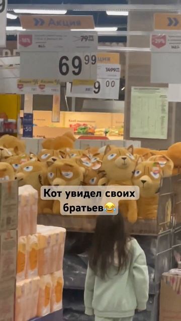#кот #братья #лента смотреть онлайн