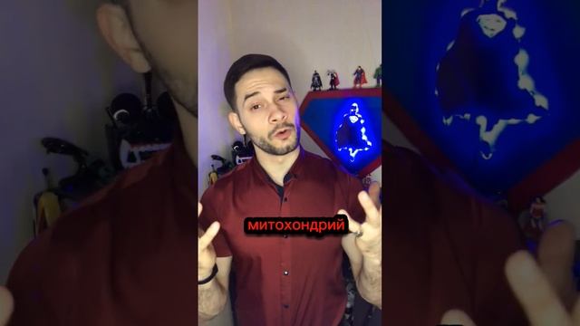 самый лучший жиросжигатель #тренеронлайн #зож #похуде? смотреть онлайн