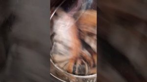 Стирка на стиральной машине  Gorenje цветное 90°С 1400 об/мин