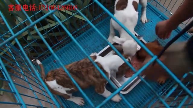 Промышленная мясорубка смотреть онлайн