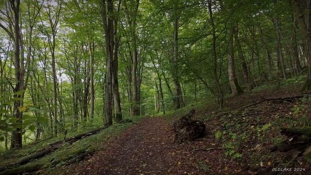 Дрон. Дорога до озера Барвінок. Вересень 2024. 4K. смотреть онлайн