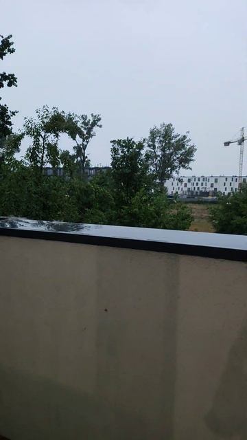 кто-то в Польше самая лучшая погода погода в Польше: смотреть онлайн