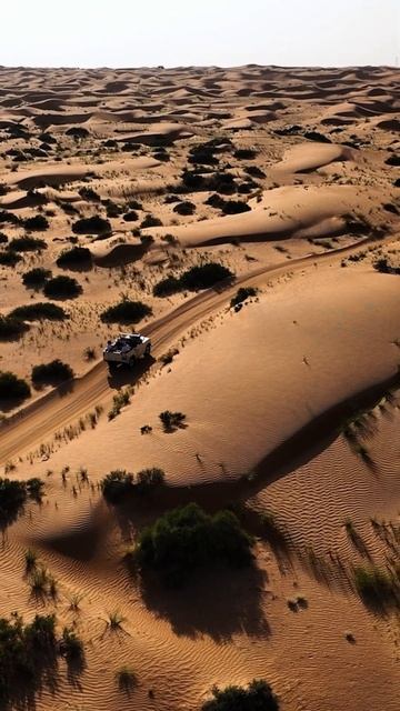 Тревел шоу «Едем К Вам» в Дубае! #путешествия #дубай #тв смотреть онлайн