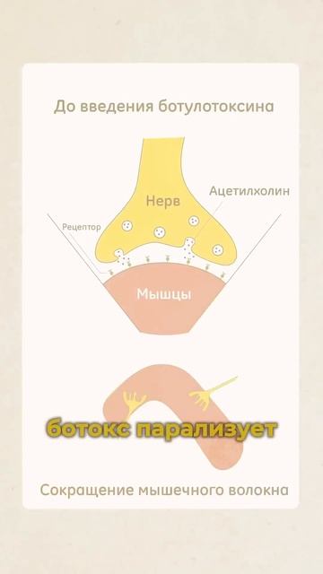 Массаж после БОТОКСА 💉 #ботокс #инъекциикрасоты #инъе смотреть онлайн