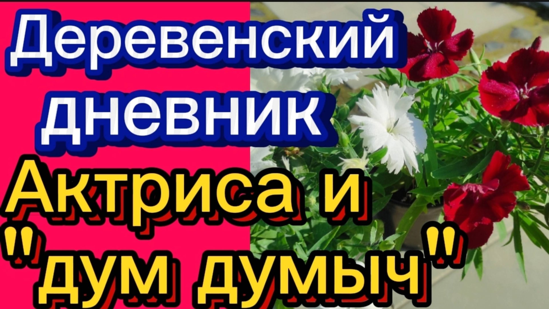 ДЕРЕВЕНСКИЙ ДНЕВНИК. "Постановка и обман. " смотреть онлайн