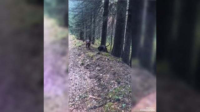 Video_20250512131205538_by_VideoShow.mp4