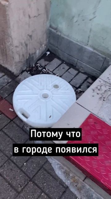 Роботы-пылесосы на улицах Петербурга! #прогулкипопите смотреть онлайн