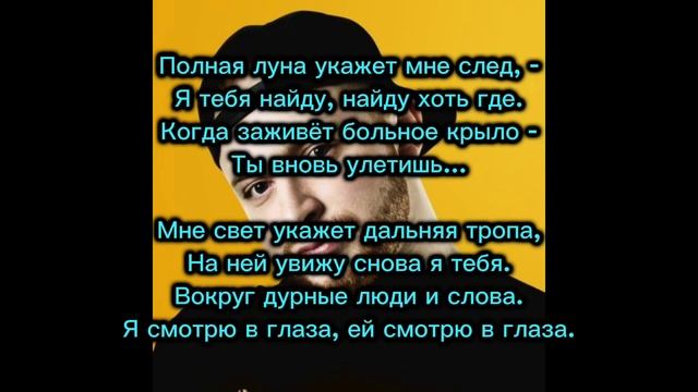 Лёша Свик 