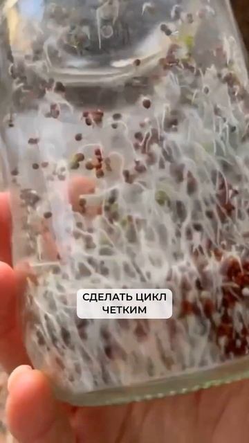 Еда от миом, мастопатии и эндометриоза - читайте подро? смотреть онлайн