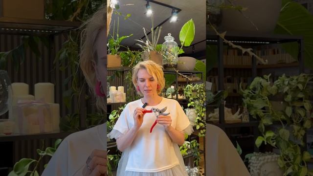 Секатор: на что стоит обратить внимание🤔 смотреть онлайн