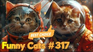 Смешные коты #317