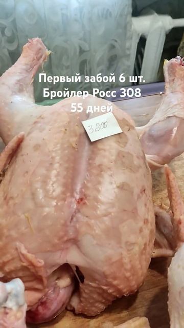 люди, указан вес, а не сумма! я довольна результатом 🔥 смотреть онлайн