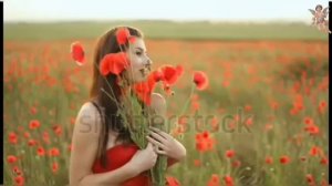 КРАСИВАЯ Песня.(Самая Самая)Ренат Собиров.