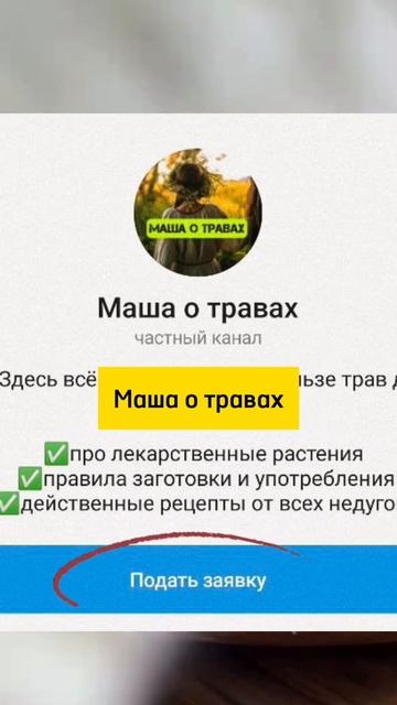 МНОГИЕ НЕ ЗНАЮТ, но ЭТИ ТРАВЫ НЕЛЬЗЯ ПИТЬ мужчинам! #ле? смотреть онлайн