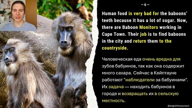 РАЗБИРАЕМ ПРОСТОЙ ТЕКСТ на Английском Для Начинающих смотреть онлайн